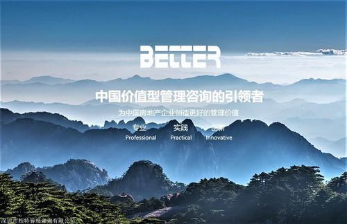 广西管理咨询公司选择指南 栢特咨询的房地产价值型咨询服务解读